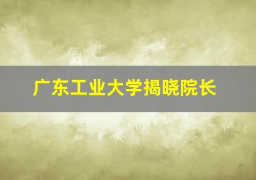 广东工业大学揭晓院长