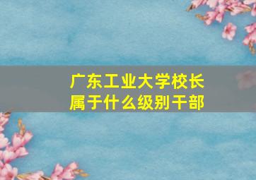 广东工业大学校长属于什么级别干部