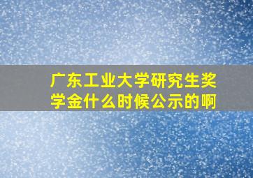 广东工业大学研究生奖学金什么时候公示的啊