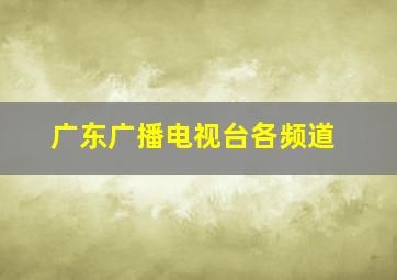 广东广播电视台各频道