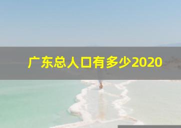 广东总人口有多少2020