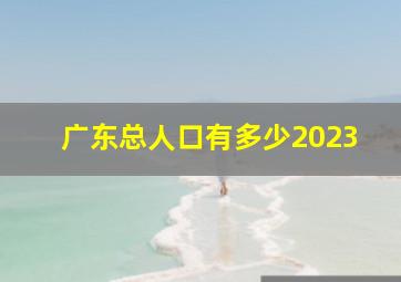 广东总人口有多少2023