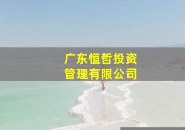 广东恒哲投资管理有限公司