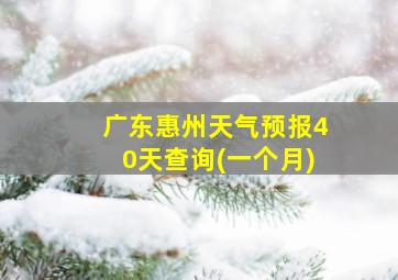 广东惠州天气预报40天查询(一个月)