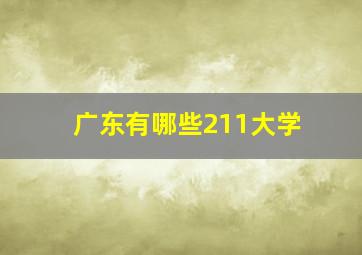 广东有哪些211大学