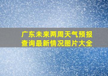 广东未来两周天气预报查询最新情况图片大全