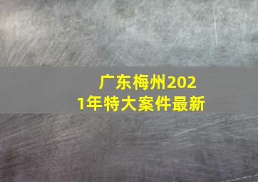 广东梅州2021年特大案件最新