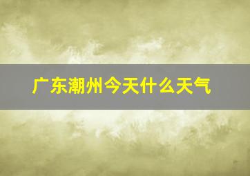 广东潮州今天什么天气