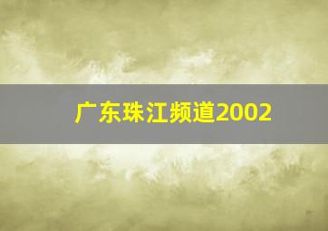 广东珠江频道2002