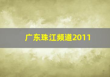 广东珠江频道2011