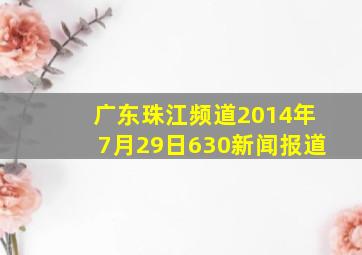 广东珠江频道2014年7月29日630新闻报道