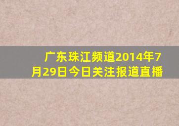 广东珠江频道2014年7月29日今日关注报道直播