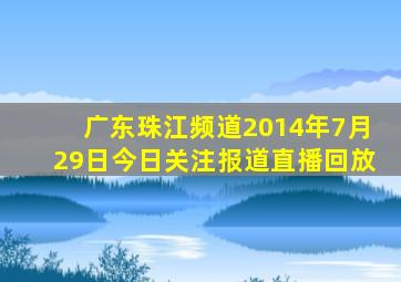 广东珠江频道2014年7月29日今日关注报道直播回放