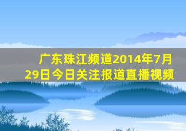 广东珠江频道2014年7月29日今日关注报道直播视频