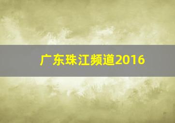 广东珠江频道2016