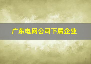 广东电网公司下属企业