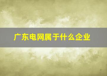 广东电网属于什么企业