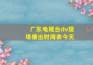 广东电视台dv现场播出时间表今天