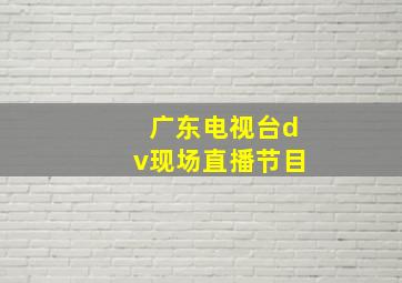 广东电视台dv现场直播节目