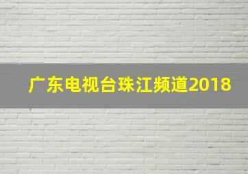 广东电视台珠江频道2018