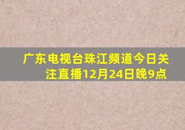 广东电视台珠江频道今日关注直播12月24日晚9点