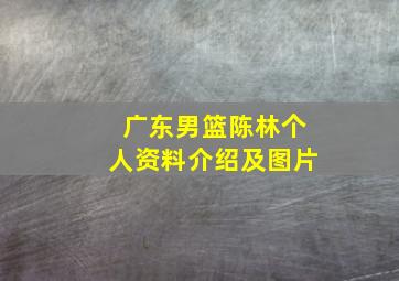 广东男篮陈林个人资料介绍及图片