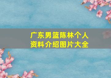 广东男篮陈林个人资料介绍图片大全