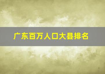 广东百万人口大县排名