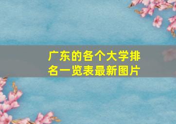 广东的各个大学排名一览表最新图片