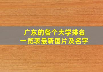 广东的各个大学排名一览表最新图片及名字