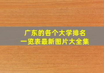 广东的各个大学排名一览表最新图片大全集