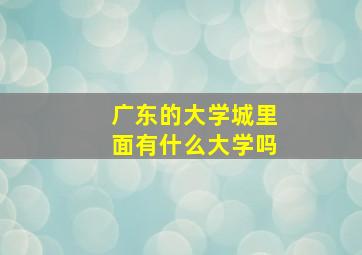 广东的大学城里面有什么大学吗