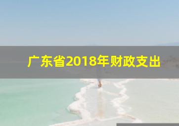 广东省2018年财政支出