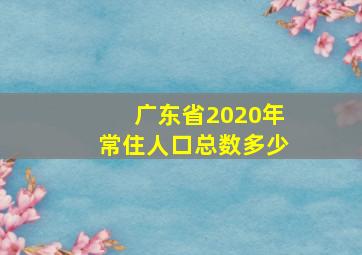 广东省2020年常住人口总数多少