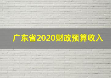 广东省2020财政预算收入