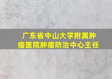 广东省中山大学附属肿瘤医院肿瘤防治中心主任