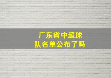 广东省中超球队名单公布了吗