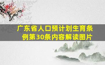 广东省人口预计划生育条例第30条内容解读图片