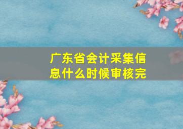 广东省会计采集信息什么时候审核完