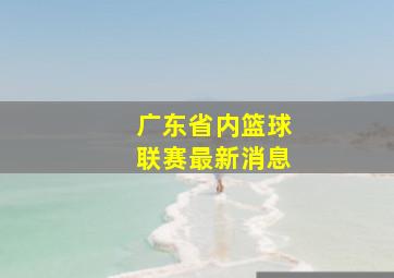 广东省内篮球联赛最新消息