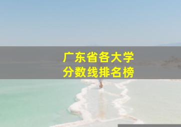 广东省各大学分数线排名榜