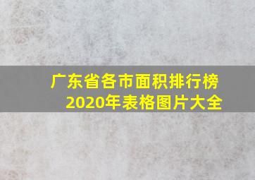 广东省各市面积排行榜2020年表格图片大全