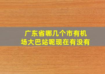 广东省哪几个市有机场大巴站呢现在有没有