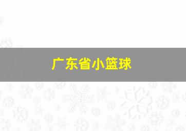 广东省小篮球