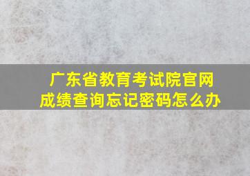 广东省教育考试院官网成绩查询忘记密码怎么办