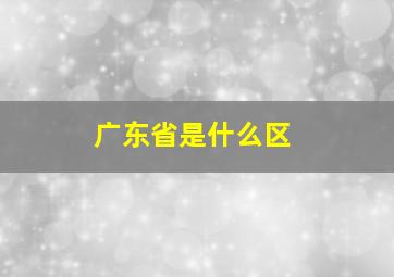 广东省是什么区