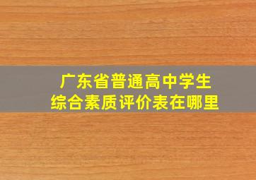 广东省普通高中学生综合素质评价表在哪里