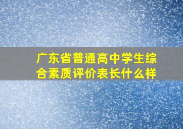 广东省普通高中学生综合素质评价表长什么样