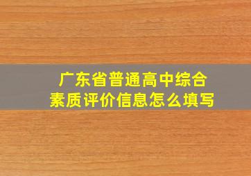 广东省普通高中综合素质评价信息怎么填写