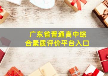 广东省普通高中综合素质评价平台入口